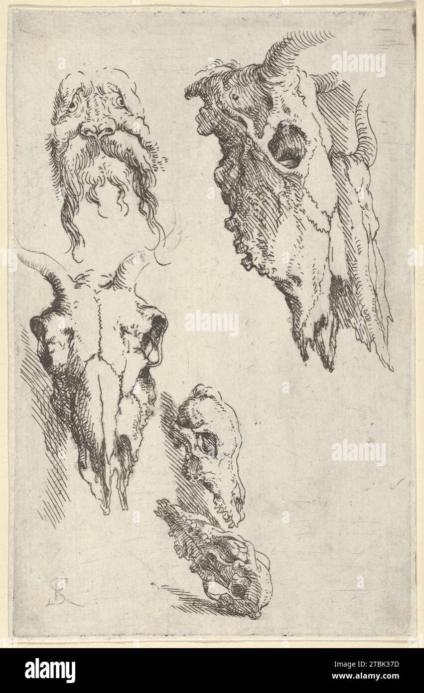 Trois crânes de boeuf, deux crânes de cheval et une tête grotesque, étude pour 'Démocrite en Méditation' 1953 par Salvator Rosa Banque D'Images