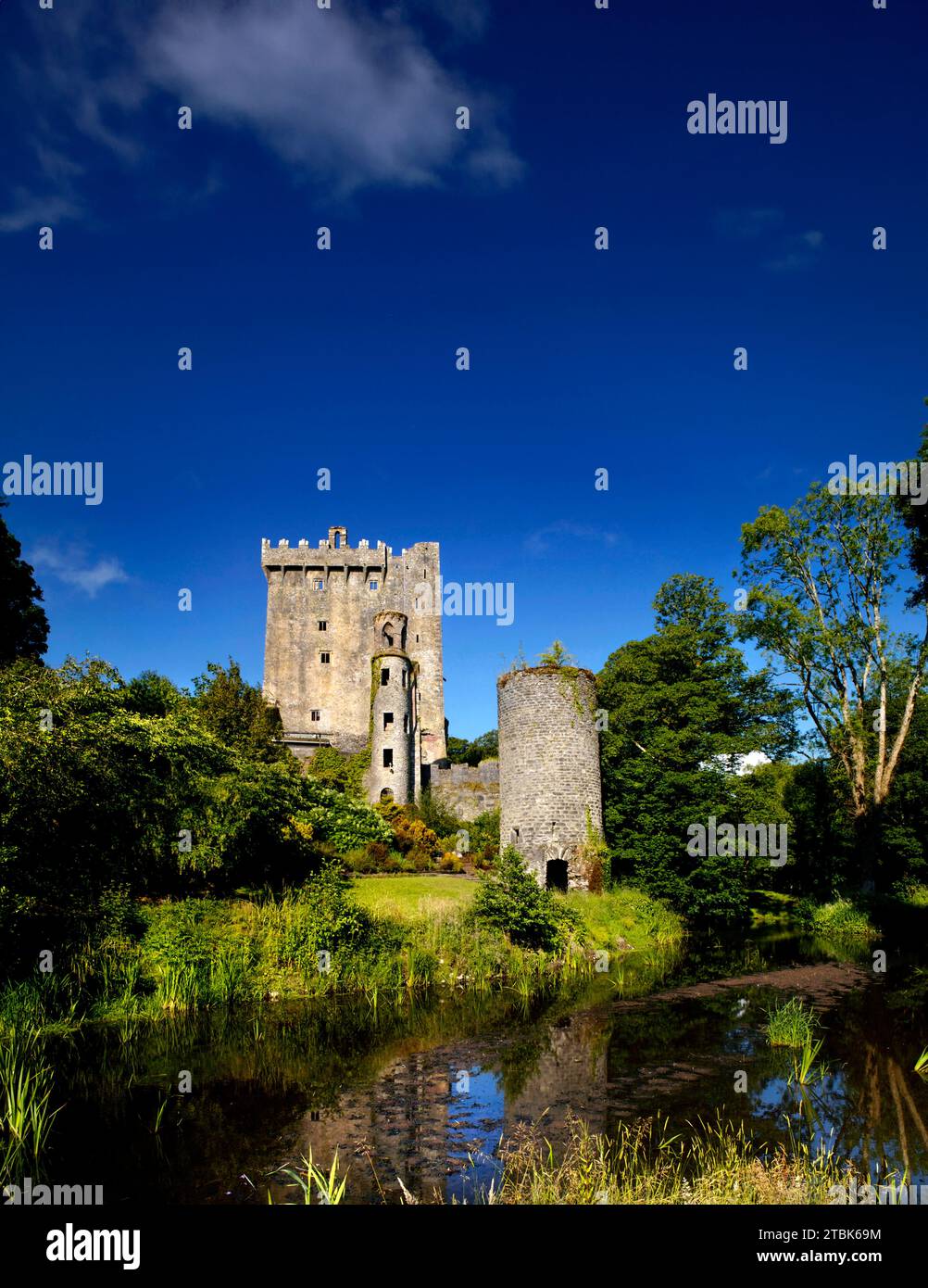 Le château de Blarney, comté de Cork, Irlande Banque D'Images