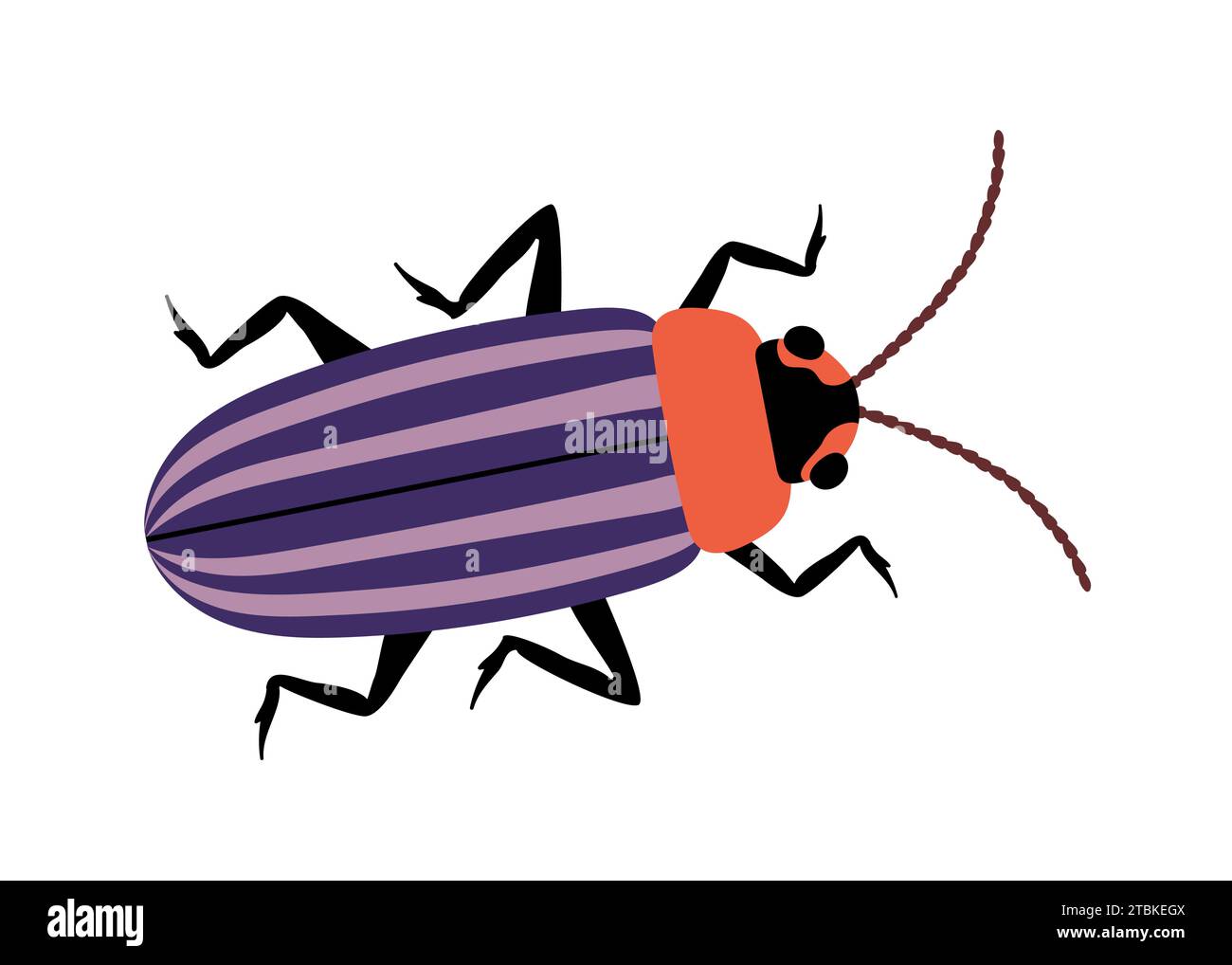 Concept de vecteur d'insecte mignon Illustration de Vecteur