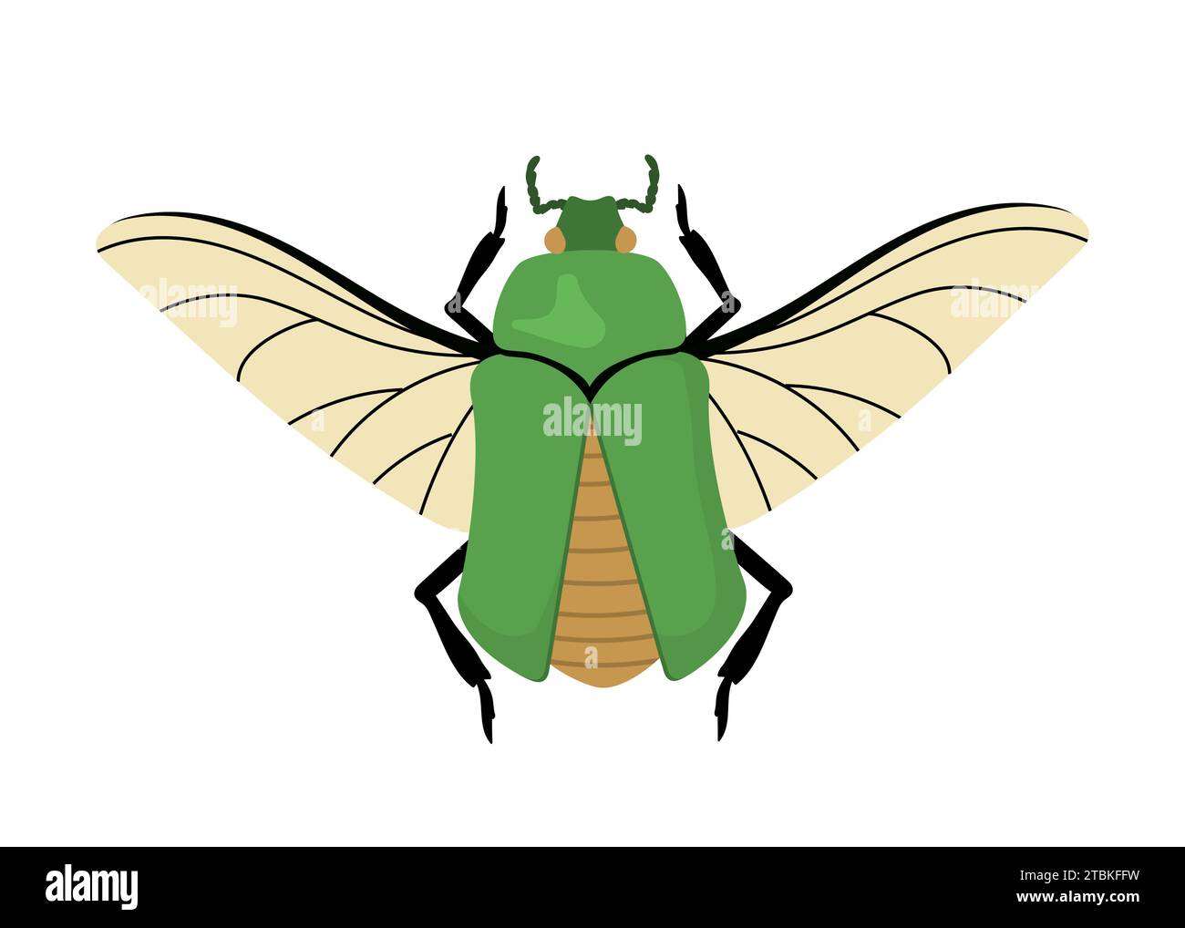 Concept de vecteur d'insecte mignon Illustration de Vecteur