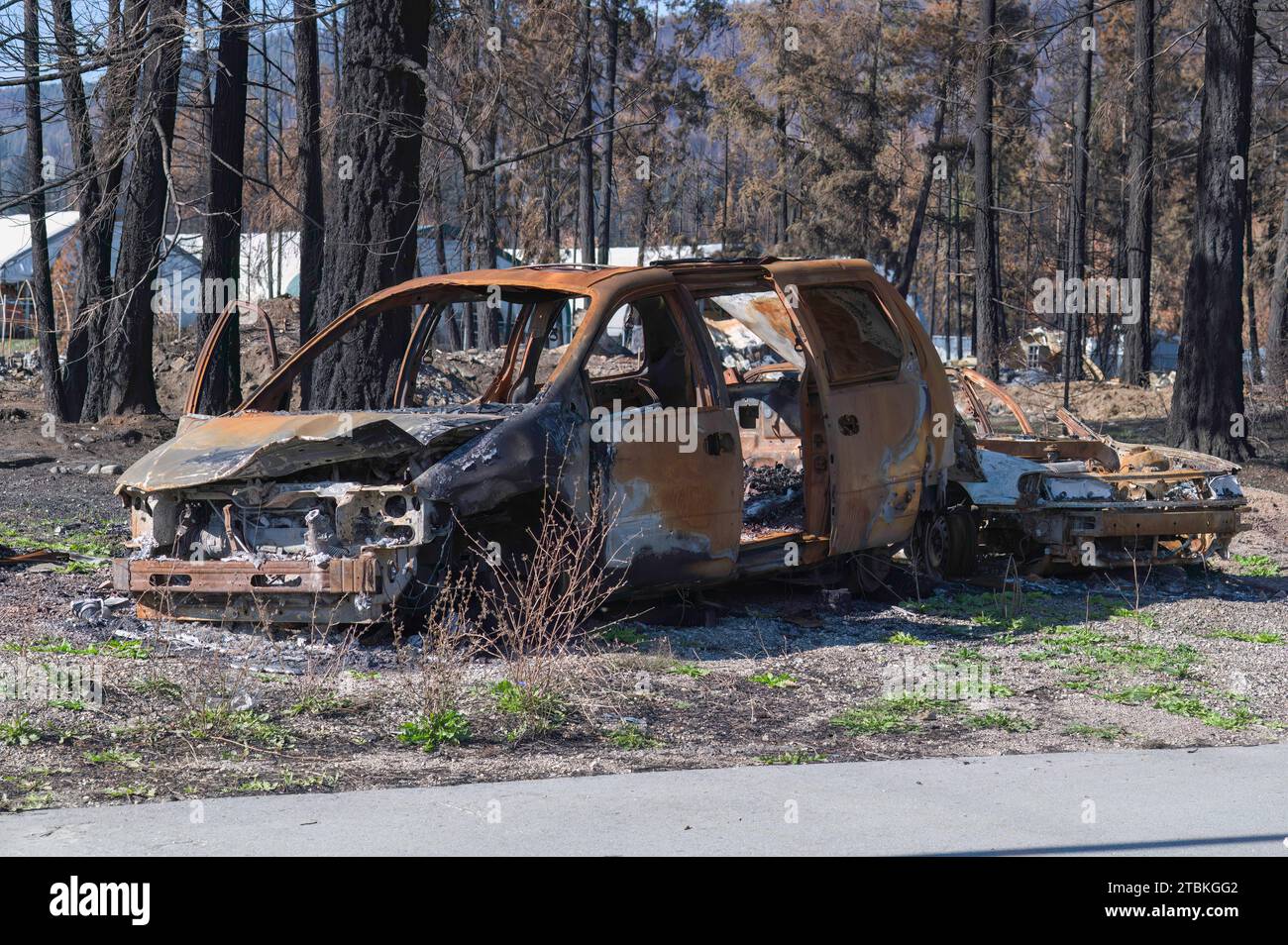 Une fourgonnette et un autre stand de voitures incendiés dans une zone incendiée à Scotch Creek, en Colombie-Britannique, au Canada, après le feu de forêt de Bush Creek East. Banque D'Images