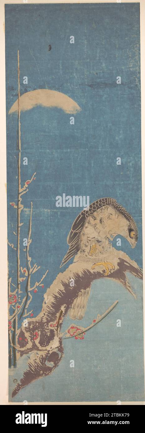 Un Hawk perché sur un pin couvert de neige 1923 par Isoda Koryusai Banque D'Images