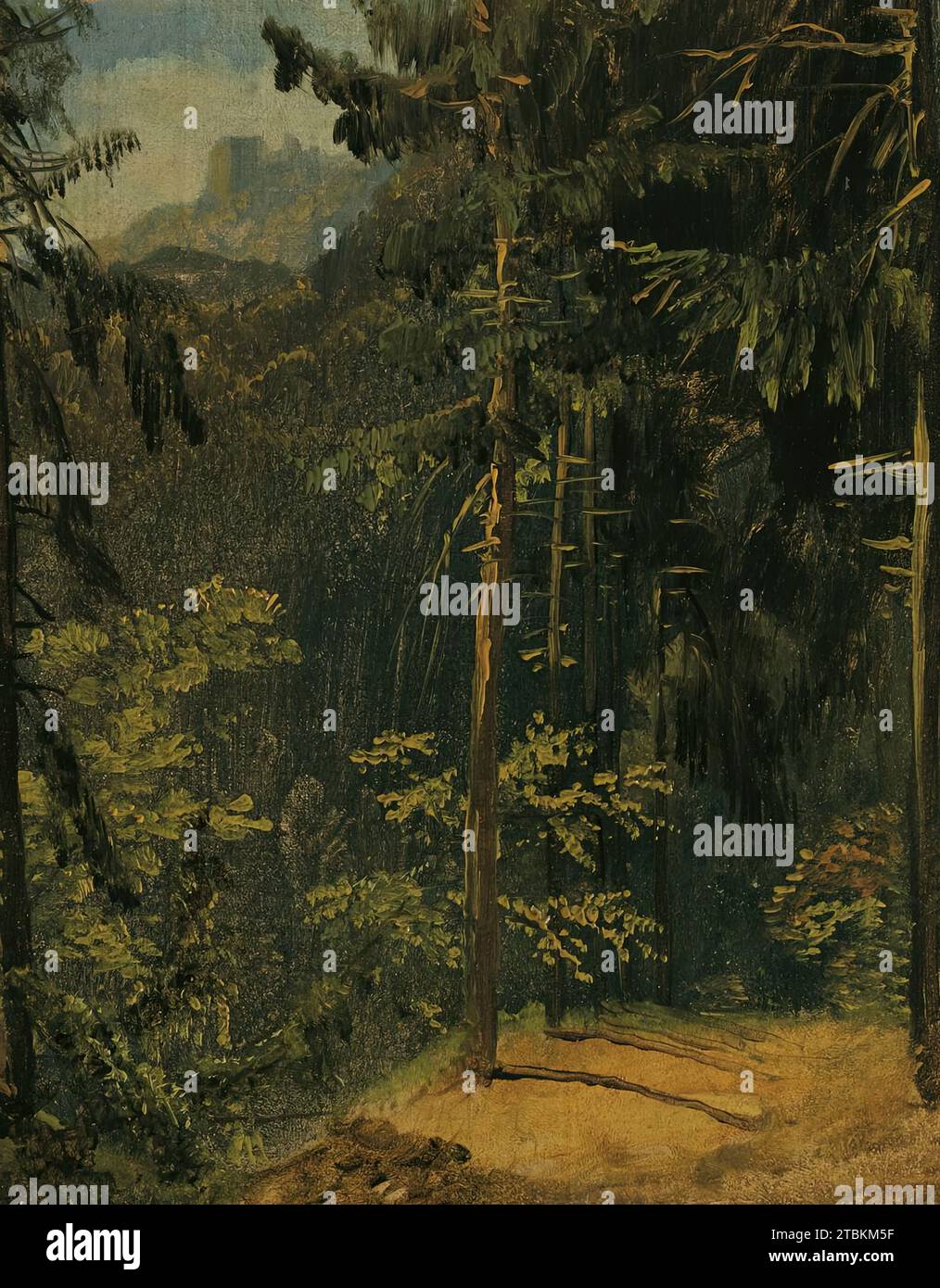 Sentier forestier dans le Harz, 1833. Banque D'Images