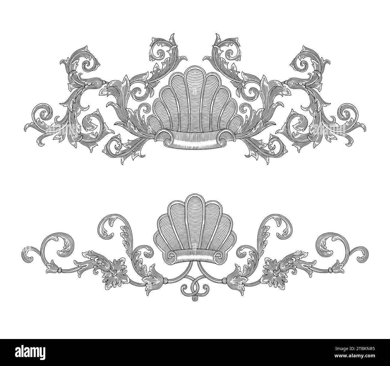 Coquille avec ornement floral, vintage baroque rouleau de feuille gravure illustration de style dessin Illustration de Vecteur