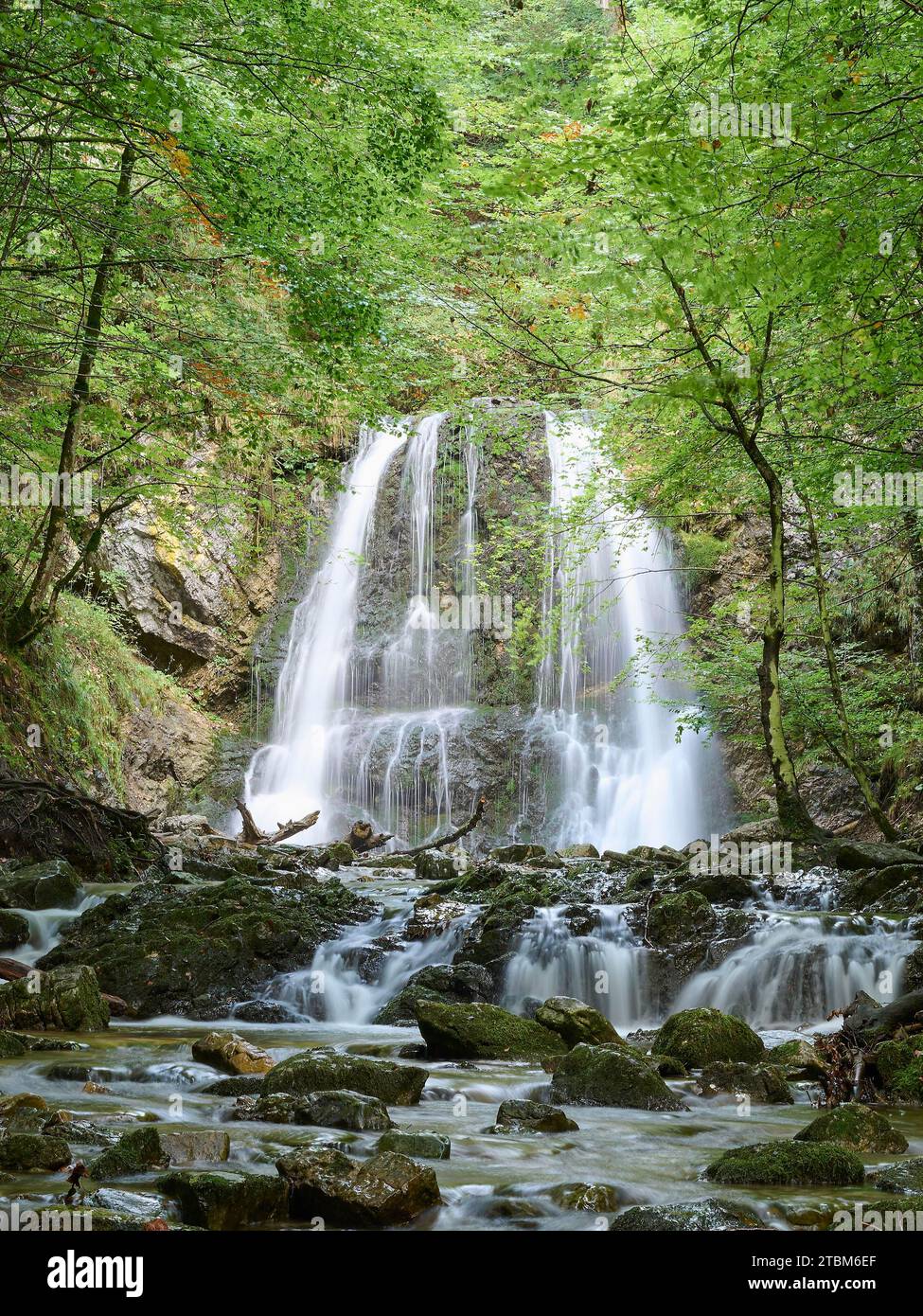 Cascade Josefstaler, Neuhaus am Schliersee, montagnes de Mangfall, haute-Bavière, Bavière, Allemagne Banque D'Images