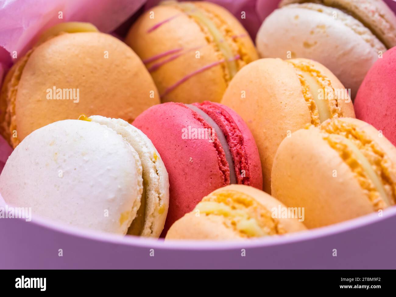Macarons de biscuits français colorés dans une boîte cadeau rose. Fruits savoureux, biscuits sucrés aux amandes, macaron à gâteau. Décor de vacances Banque D'Images Macarons de biscuits français colorés dans une boîte cadeau rose. Fruits savoureux, biscuits sucrés aux amandes, macaron à gâteau. Décor de vacances Banque D'Images