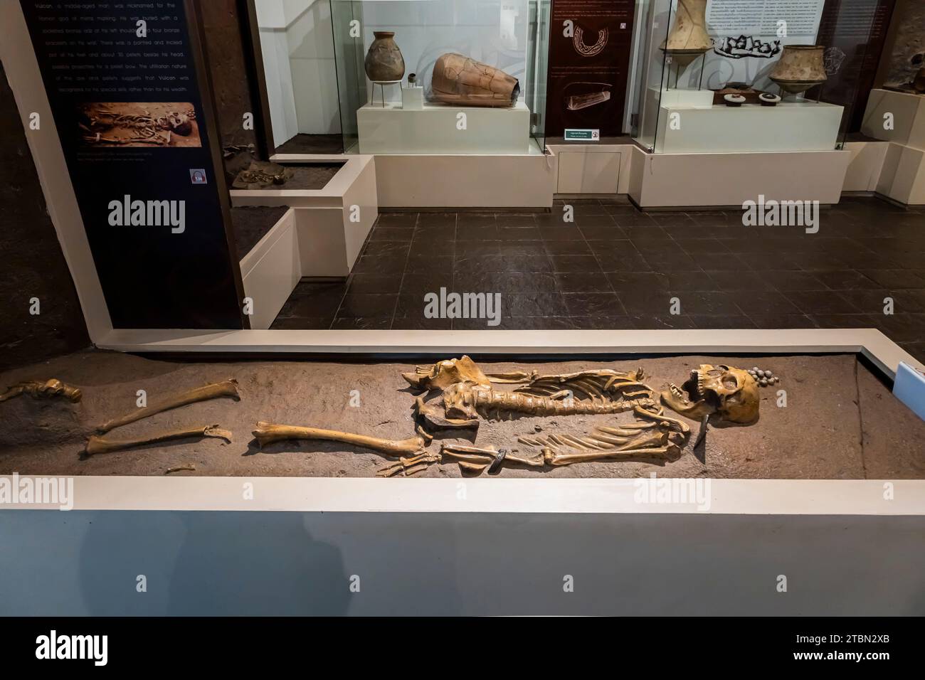Ban Chiang musée national, squelette de l'enterrement, période précoce, Ban Chiang, Udon Thani, Thaïlande, Asie du Sud-est, Asie Banque D'Images