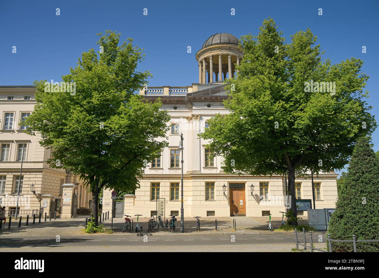 Musée Berggruen, Schloßstraße, Charlottenburg, Charlottenburg-Wilmersdorf, Berlin, Deutschland *** Légende locale *** , Berlin, Deutschland Banque D'Images