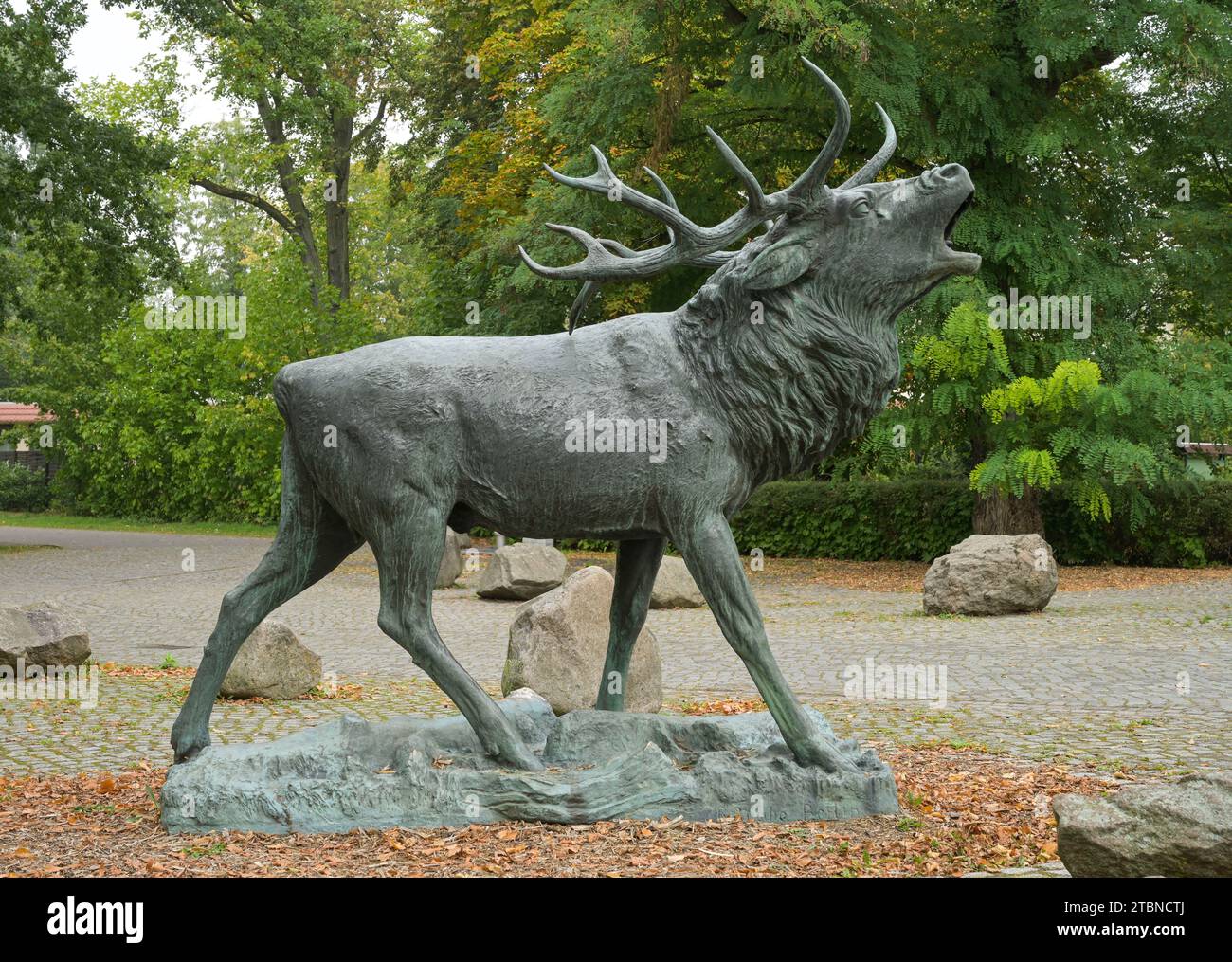 Bronze Skulptur Hirsch, Tierpark, Puschkinallee, Angermünde, Brandenburg, Deutschland Banque D'Images