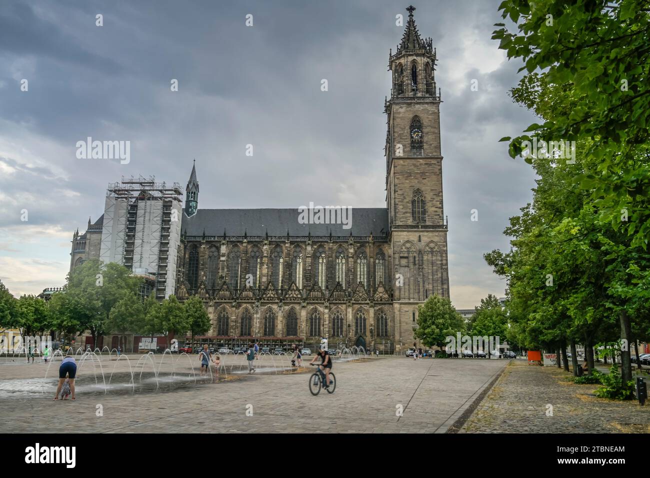 Magdeburger Dom, Am Dom, Magdeburg, Sachsen-Anhalt, Allemagne Banque D'Images