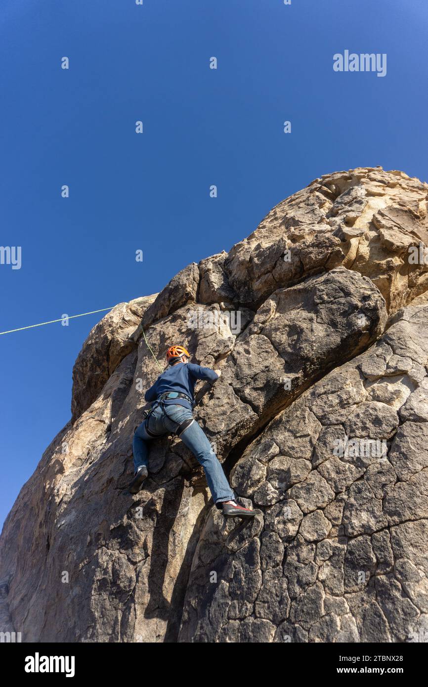 Un homme grimpeur escaladant une paroi rocheuse à Joshua Tree Banque D'Images