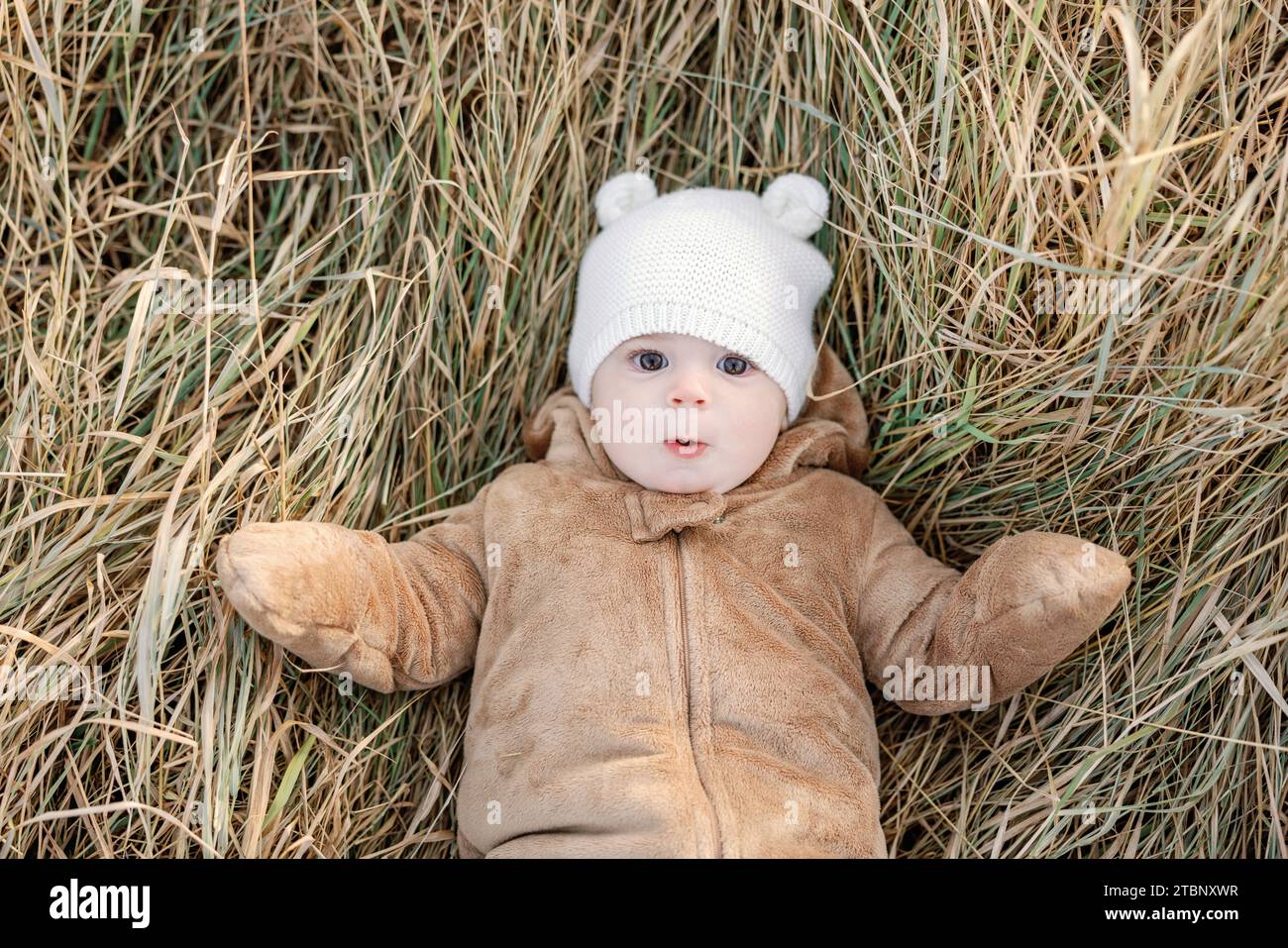 Bébé surpris de 9 mois portant un costume d'ours couché dans l'herbe d'automne Banque D'Images