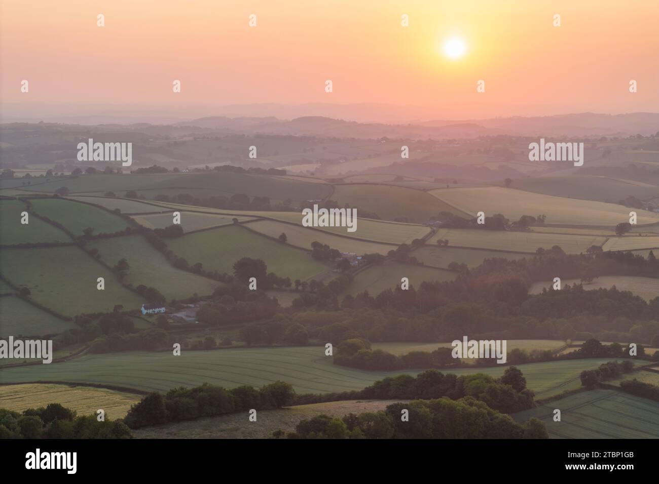 Lever de soleil d'été sur la campagne vallonnée de Dartmoor, Devon, Angleterre. Été (juin) 2023. Banque D'Images