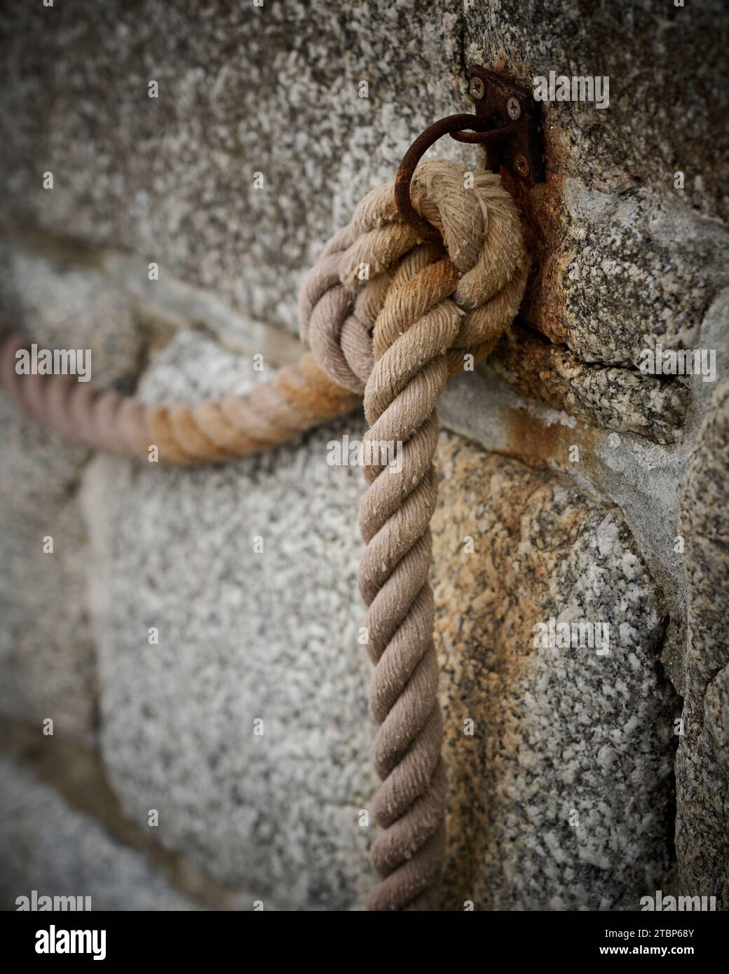 Un nœud de corde sur le mur de la mer Banque D'Images