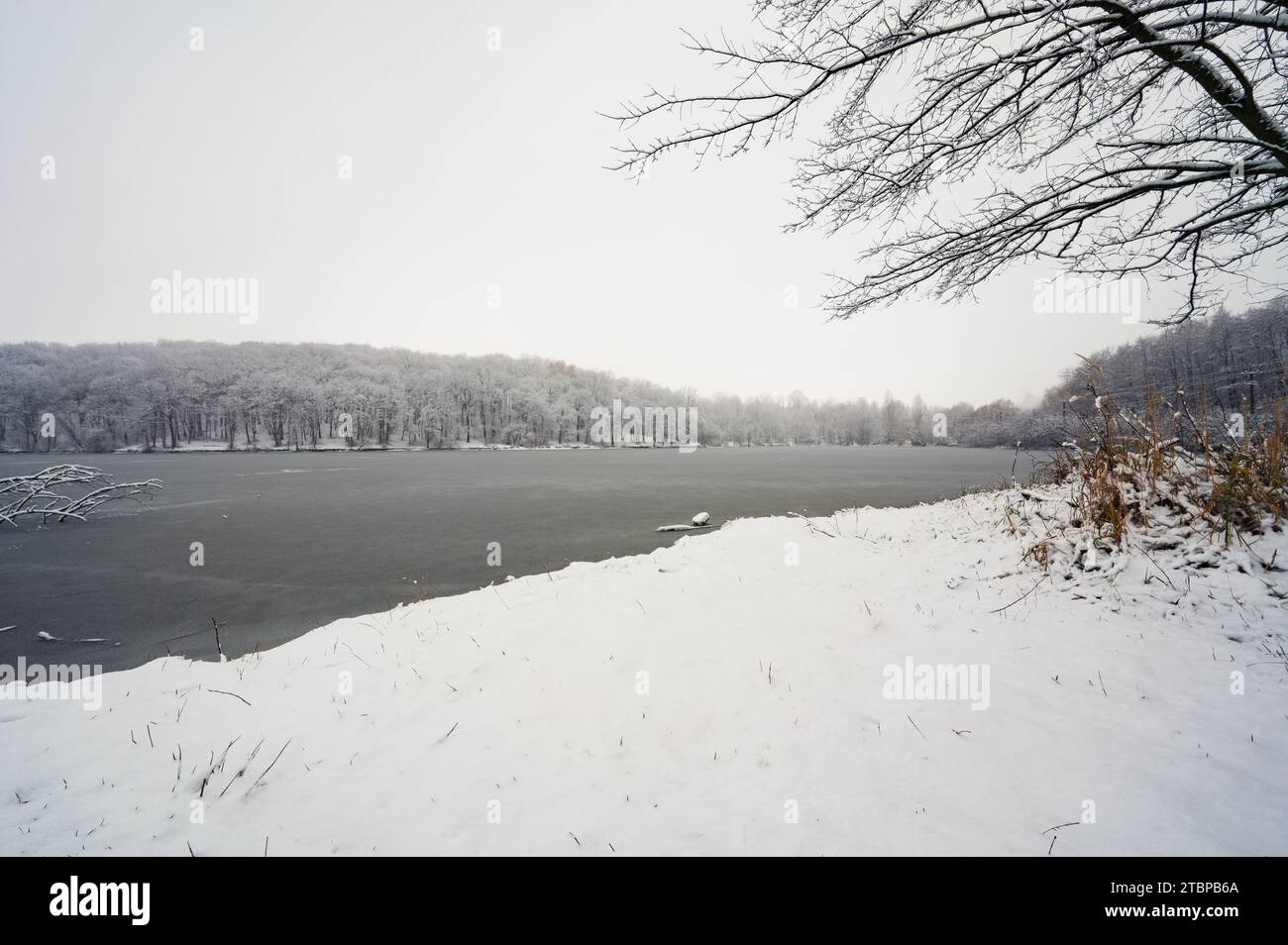 Forêt d'hiver arbres beau paysage. Neige sur la rive d'un lac gelé ou d'une rivière dans la glace Banque D'Images