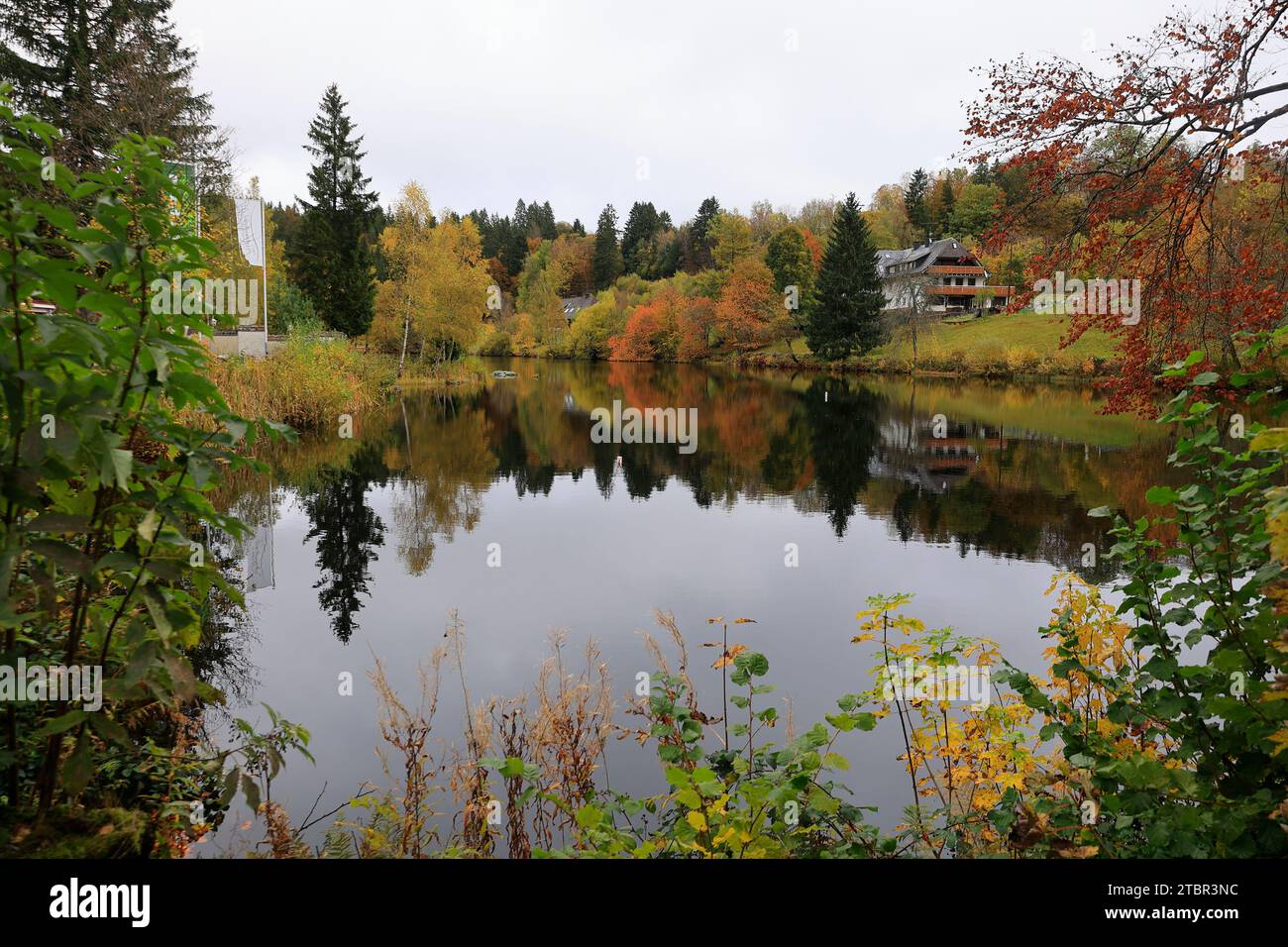 La forêt d'automne se reflète dans l'étang du monastère près de Sankt Blasien dans la Forêt Noire Banque D'Images