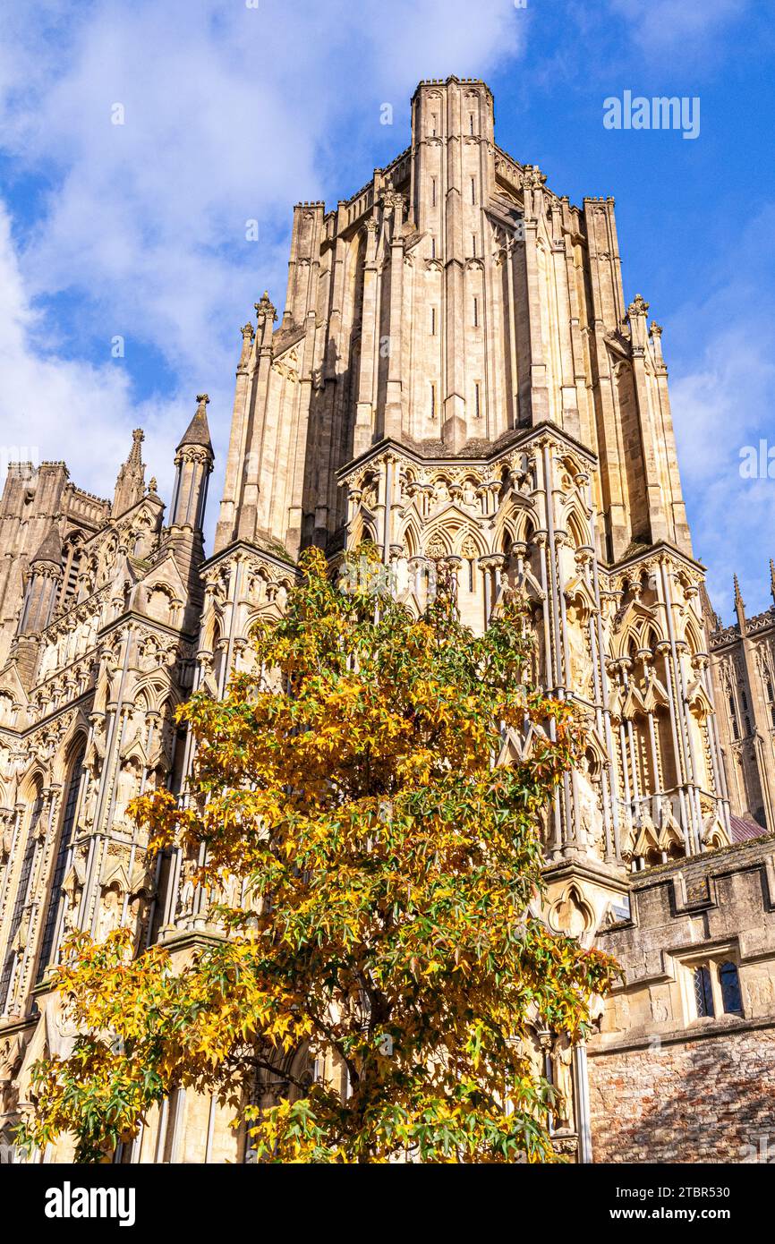 Couleurs d'automne à Wells Cathedral, Wells, Somerset, Angleterre Royaume-Uni Banque D'Images