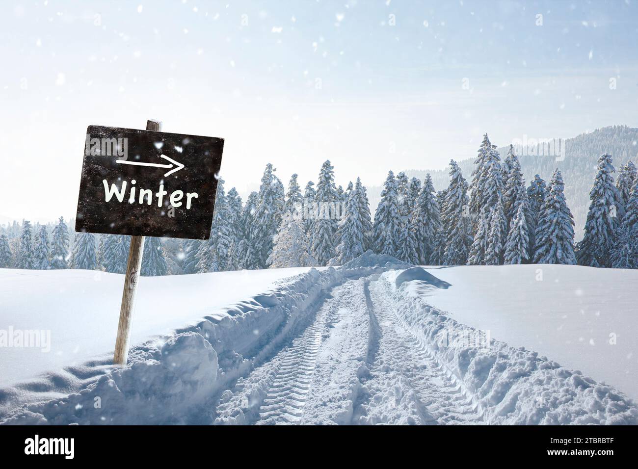 Route de neige en hiver à travers un paysage enneigé Banque D'Images