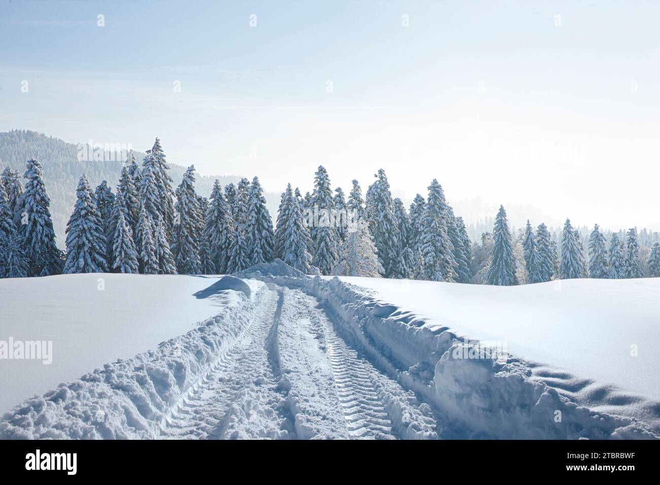 Route de neige en hiver à travers un paysage enneigé Banque D'Images
