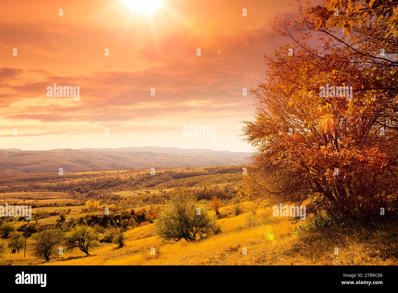 Paysage d'automne avec des collines en arrière-plan et la lumière du soleil Banque D'Images