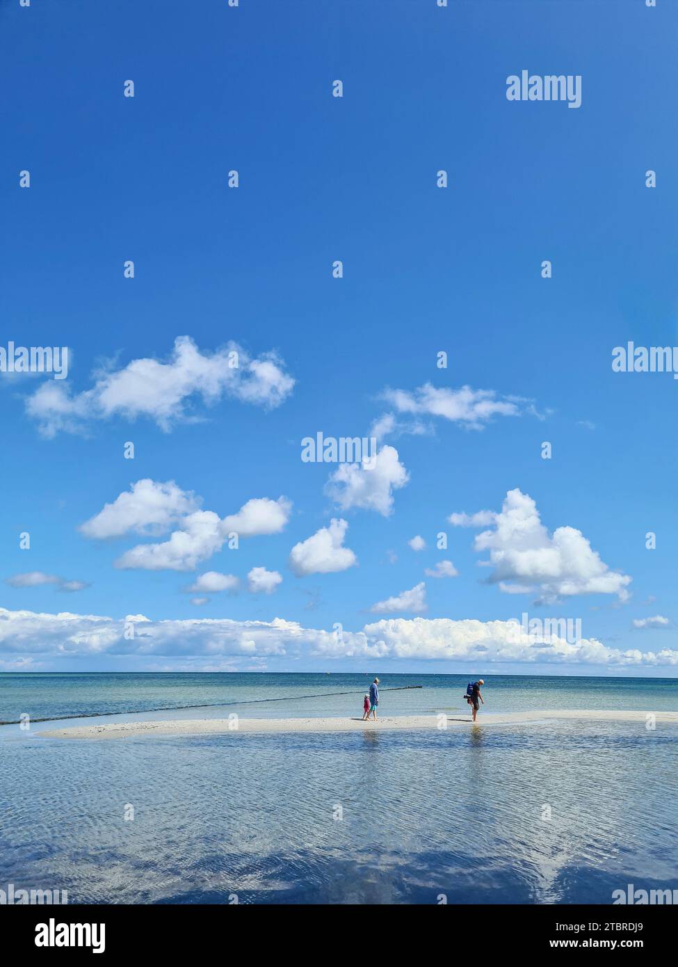 Allemagne, Mecklembourg-Poméranie occidentale, péninsule Fischland-Darß-Zingst, 3 personnes marchant à travers l'eau de mer claire dans la réserve naturelle du parc national Vorpommersche Boddenlandschaft Banque D'Images