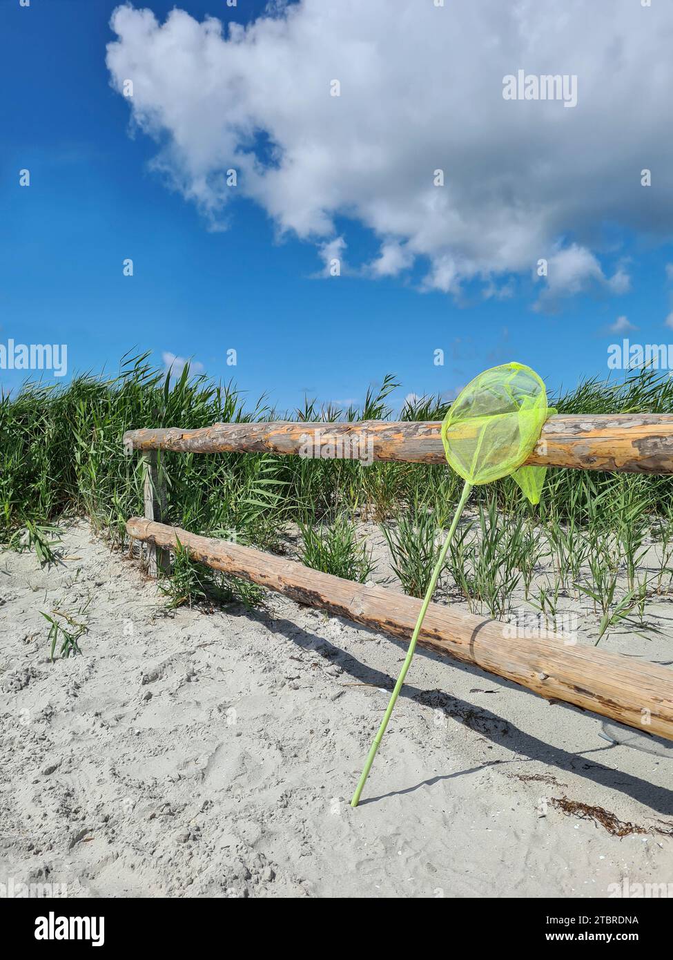 Allemagne, Mecklembourg-Poméranie occidentale, péninsule Fischland-Darß-Zingst, filet d'atterrissage jaune est appuyé contre la clôture en bois dans la réserve naturelle Banque D'Images