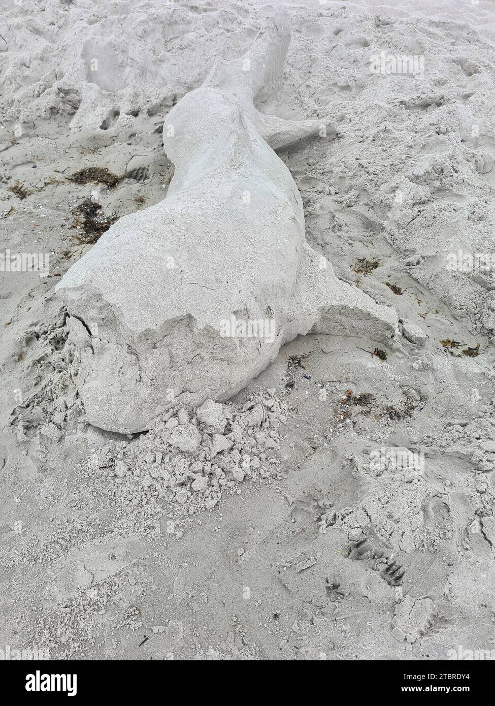 Allemagne, Mecklembourg-Poméranie occidentale, péninsule Fischland-Darß-Zingst, plage de sable Prerow, sculpture de sable endommagée Banque D'Images