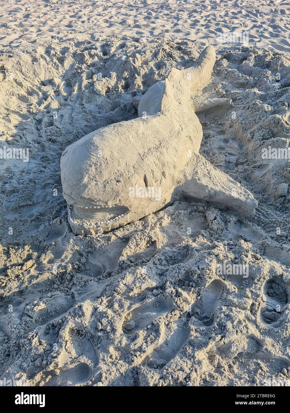 Baleine de sable, sculpture en sable sur la plage de sable clair de Prerow, mer Baltique, péninsule de Fischland-Darß-Zingst, Mecklembourg-Poméranie occidentale, Allemagne Banque D'Images
