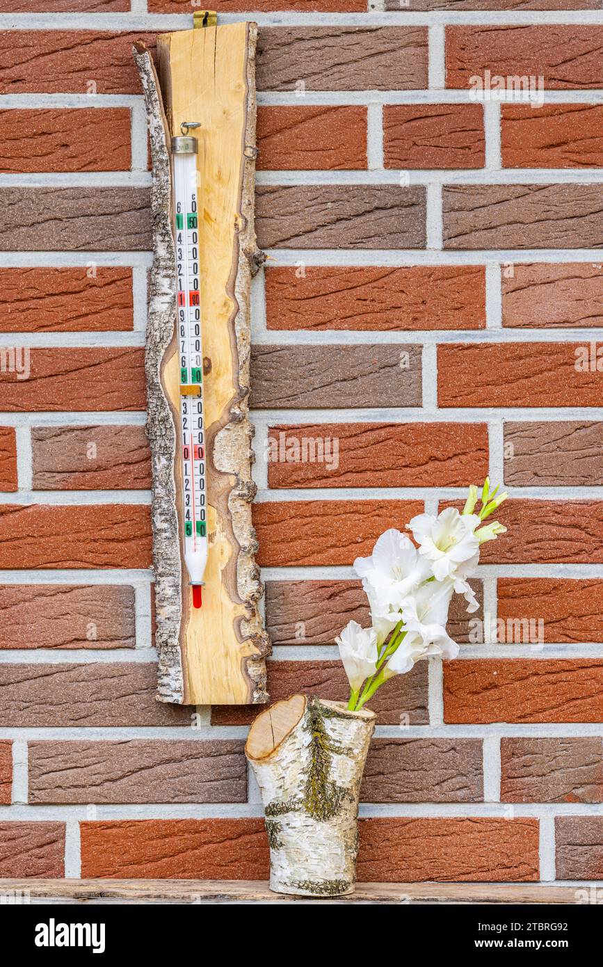 Vieux thermomètre à mercure dans un cadre en bois sur un mur de maison avec gladiole Banque D'Images