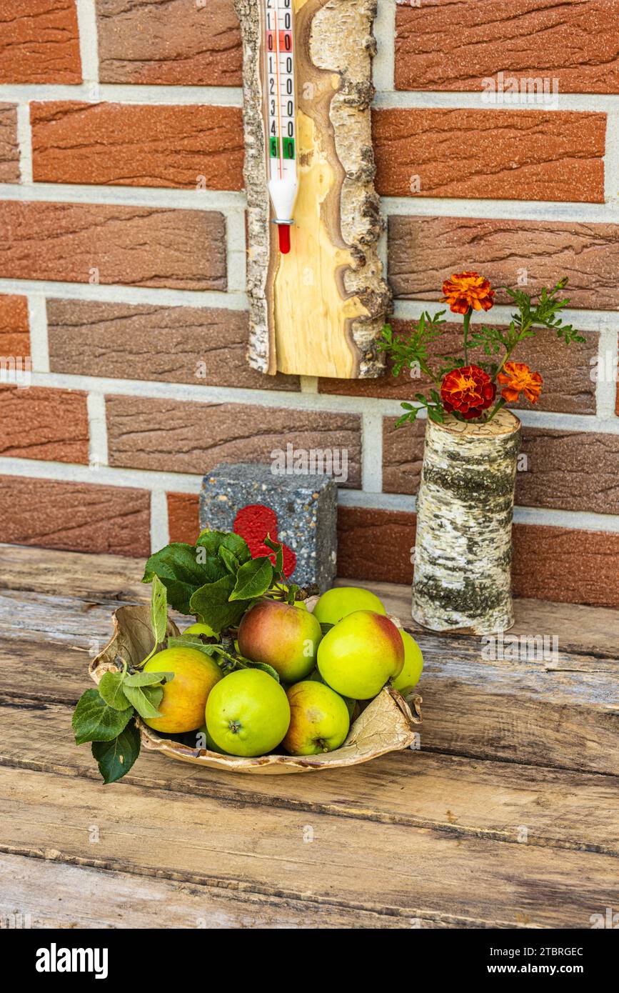 Bol maison avec des pommes sur une vieille table en bois, nature morte de jardin, vase avec fleur, thermomètre Banque D'Images