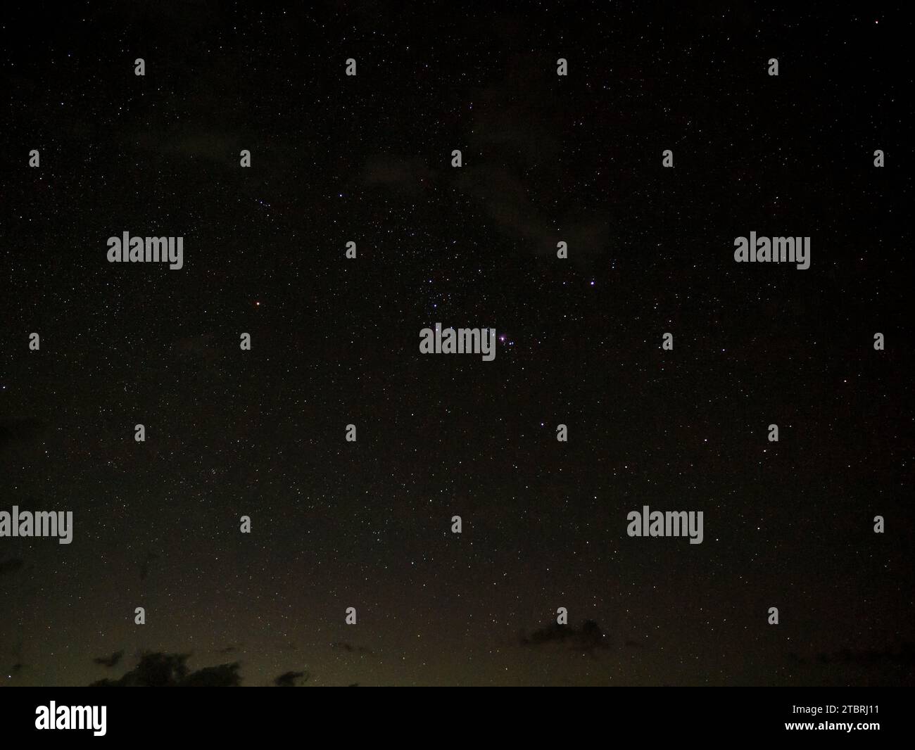 Ciel étoilé, Orion se levant dans le ciel tôt le matin à Kirby Storer Roadside Park, Floride, USA Banque D'Images