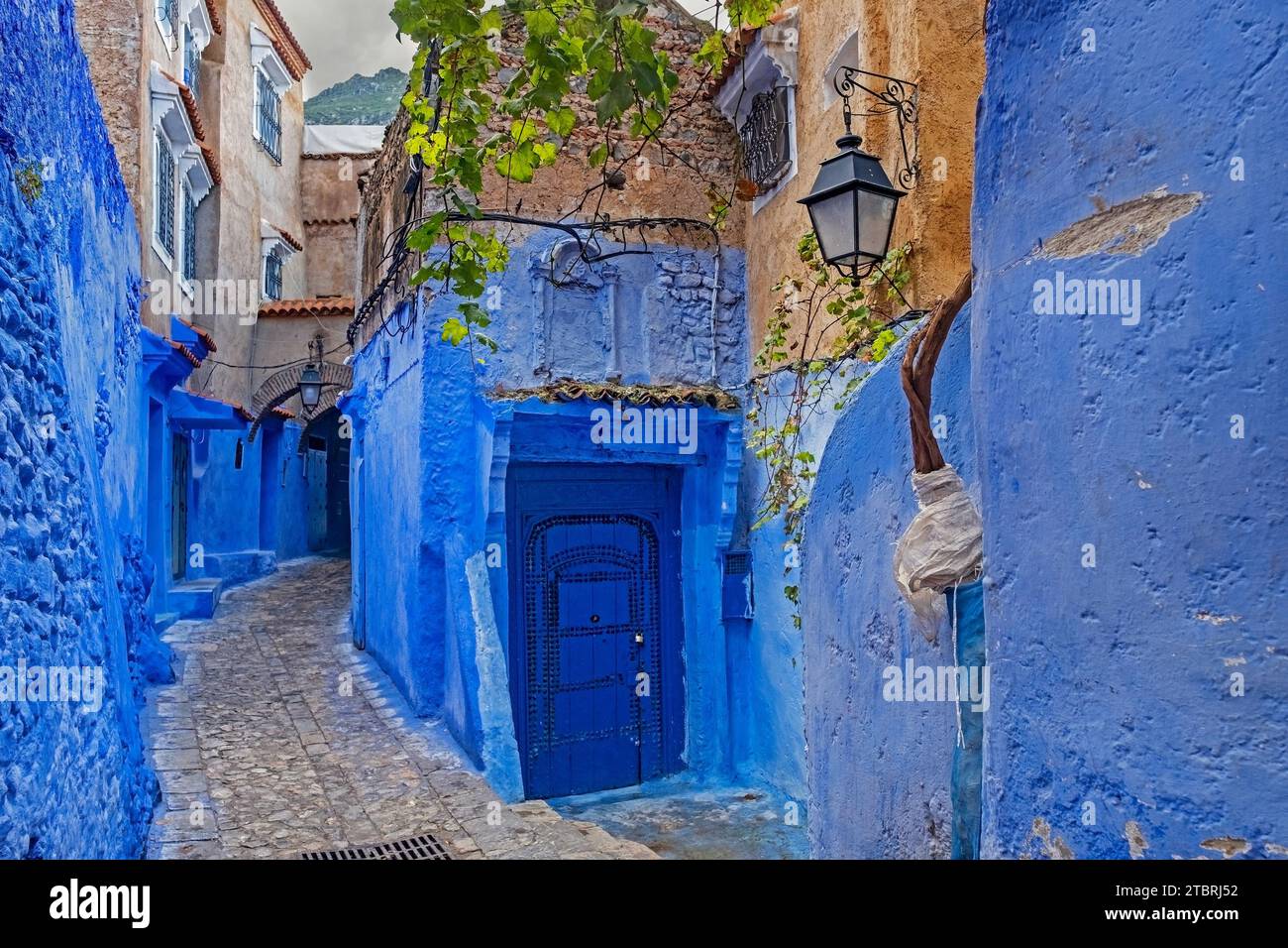 Ruelle étroite avec des murs bleus, des maisons et des portes dans la médina / vieille ville historique de la ville Chefchaouen / Chaouen, Maroc Banque D'Images