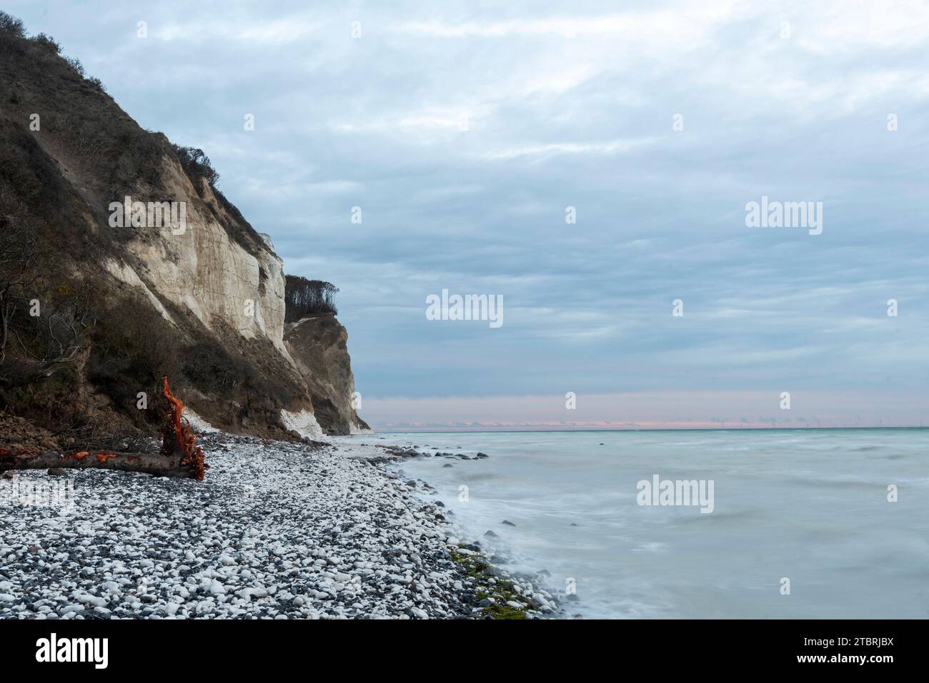 Plage sur la falaise de Möns Klint, falaises de craie, île de Mön, Danemark Banque D'Images