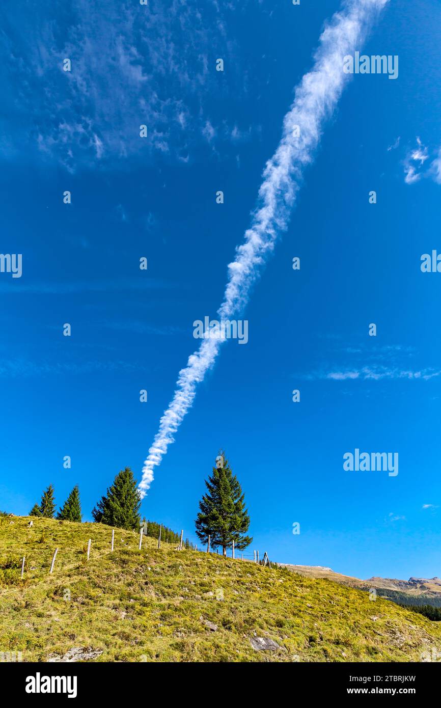 Arbres sur la prairie alpine, ciel bleu avec piste d'avion, Bucheben, Rauris, Raurisertal, Pinzgau, Salzburger Land, Autriche Banque D'Images