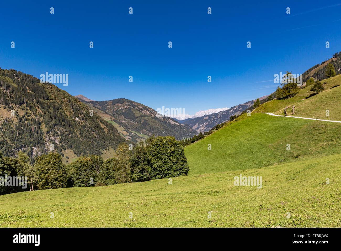 Paysage de pâturages alpins, Fröstlberg, Hochbichel, 1770 m, Hirschkopf, 2252 m, derrière les Alpes de Berchtesgaden, Steinernes Meer, Rauris, Vallée de Rauris, Pinzgau, Salzburger Land, Autriche Banque D'Images