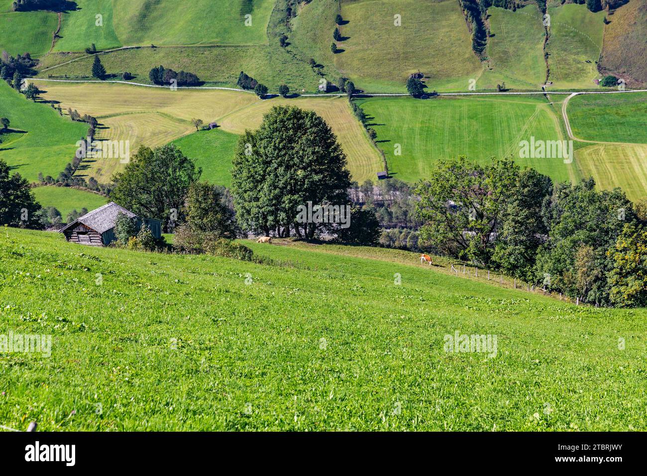Ferme alpine, Fröstlberg, Rauris, Vallée de Rauris, Pinzgau, Salzburger Land, Autriche Banque D'Images