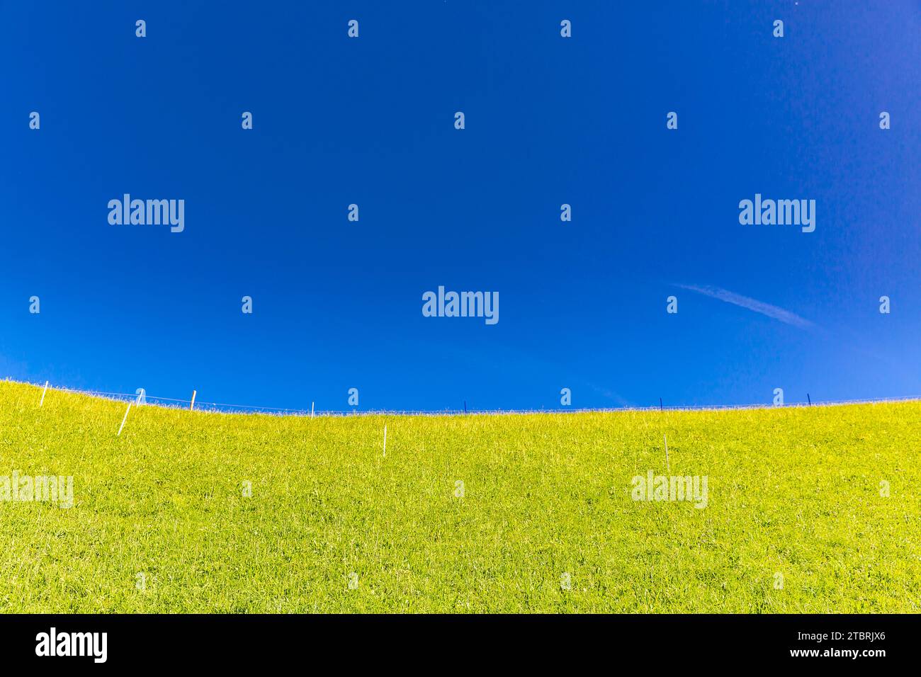 Pâturage alpin avec ciel bleu, Fröstlberg, Rauris, Vallée de Rauris, Pinzgau, Salzburger Land, Autriche Banque D'Images