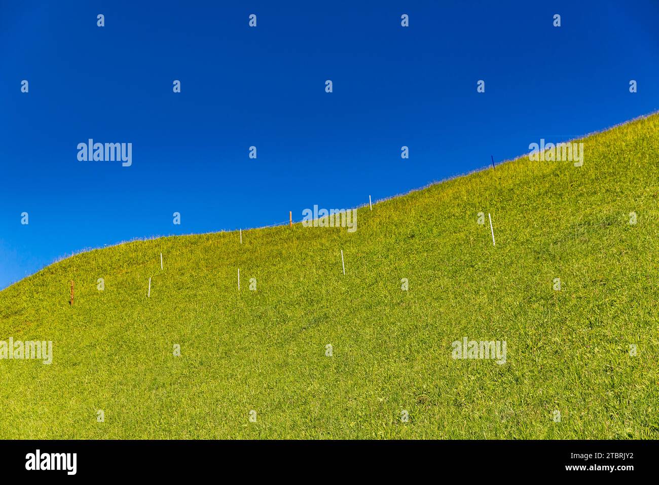 Pâturage alpin avec ciel bleu, Fröstlberg, Rauris, Vallée de Rauris, Pinzgau, Salzburger Land, Autriche Banque D'Images