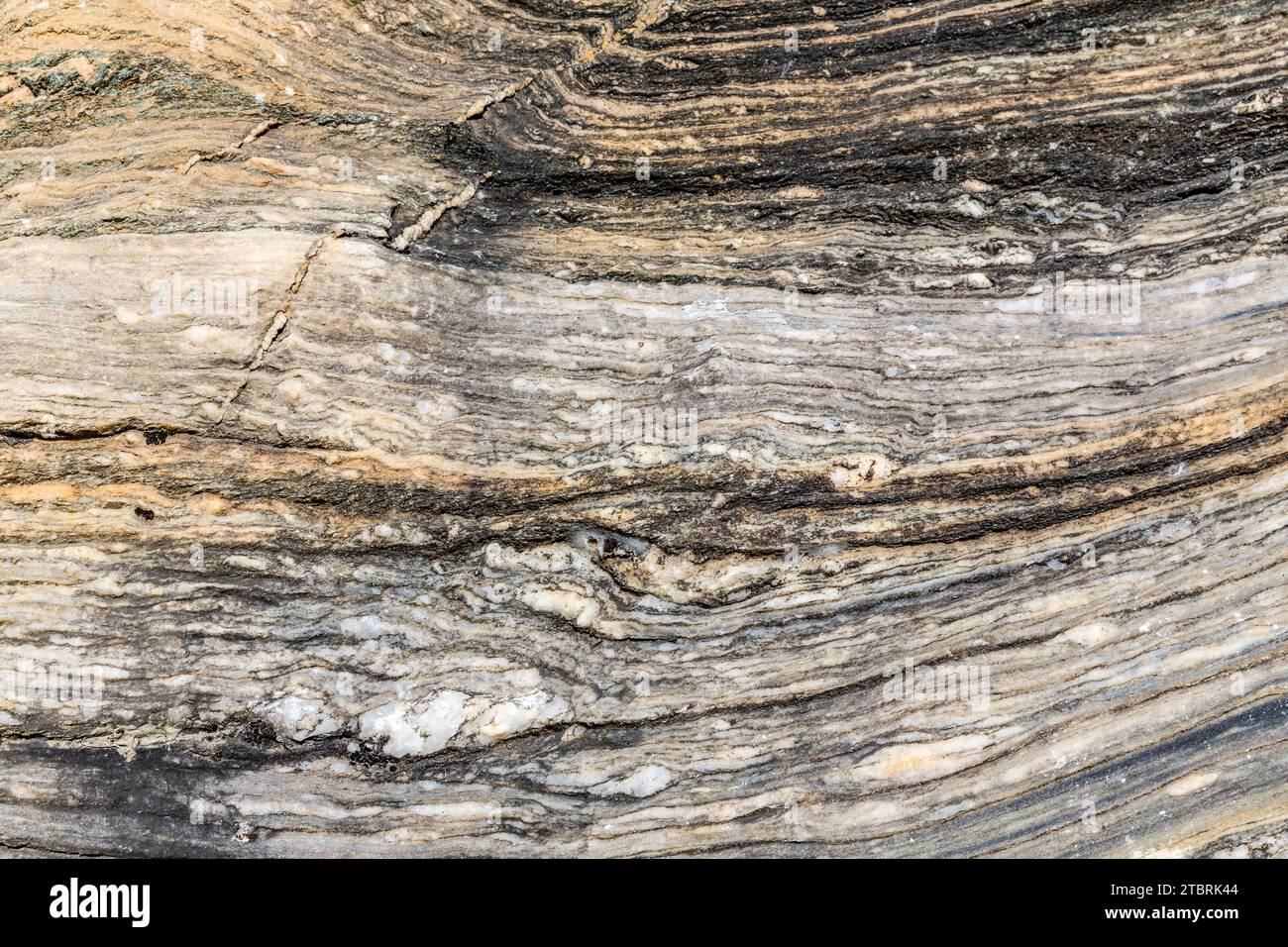 Roche schiste mica avec des couches de marbre, chemin alpin vers le Schwarzwand, 2194 m, Hochalm, Rauris, Raurisertal, Pinzgau, Salzburger Land, Autriche Banque D'Images
