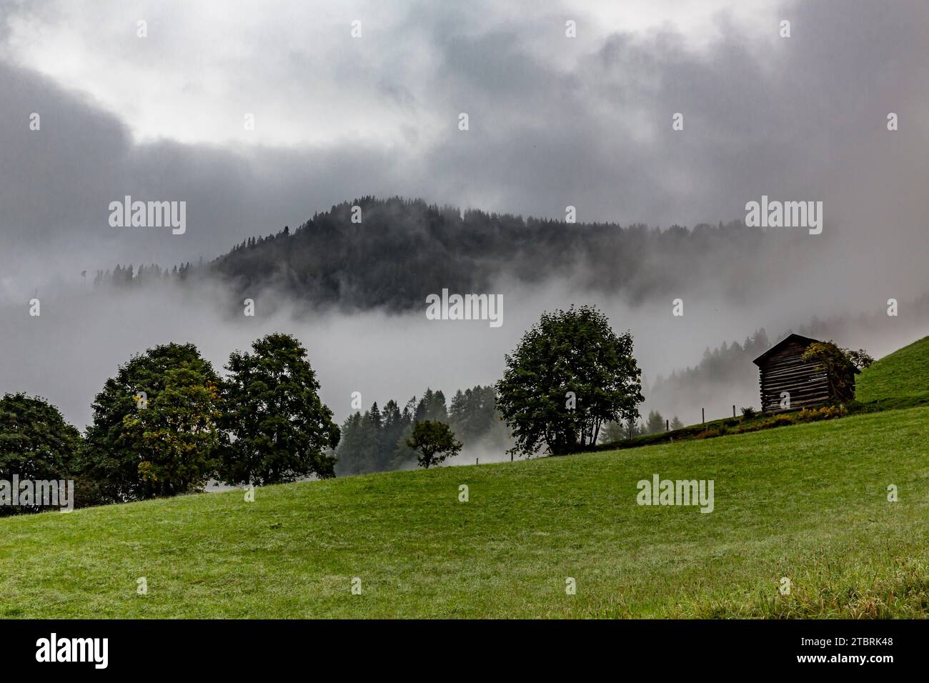 Grange dans le brouillard matinal, pâturage alpin sur Fröstlberg dans la vallée de Rauris, Rauris, Pinzgau, Salzburger Land, Autriche Banque D'Images