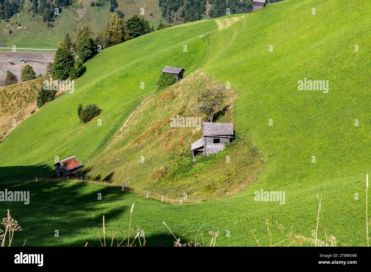 Pâturage alpin en forme de coeur, Fröstlberg, Rauris, Vallée de Rauris, Pinzgau, Salzburger Land, Autriche Banque D'Images