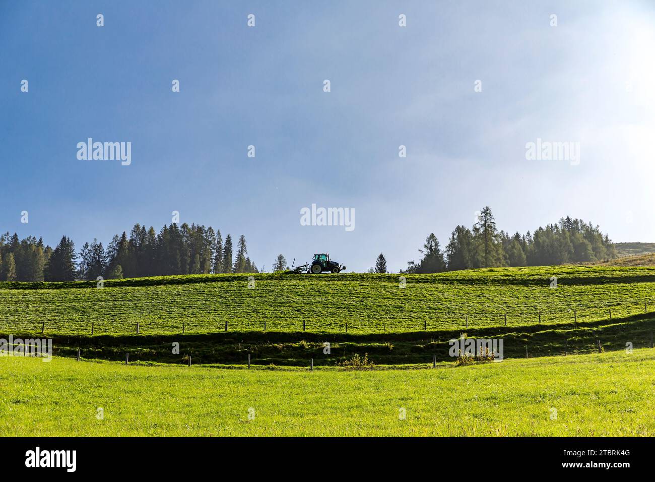 Tracteur tournant le foin, sur le pâturage alpin, Fröstlberg dans la vallée de Rauris, Rauris, Pinzgau, Salzburger Land, Autriche Banque D'Images