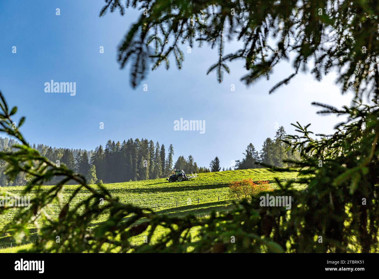 Tracteur tournant le foin, sur le pâturage alpin, Fröstlberg dans la vallée de Rauris, Rauris, Pinzgau, Salzburger Land, Autriche Banque D'Images