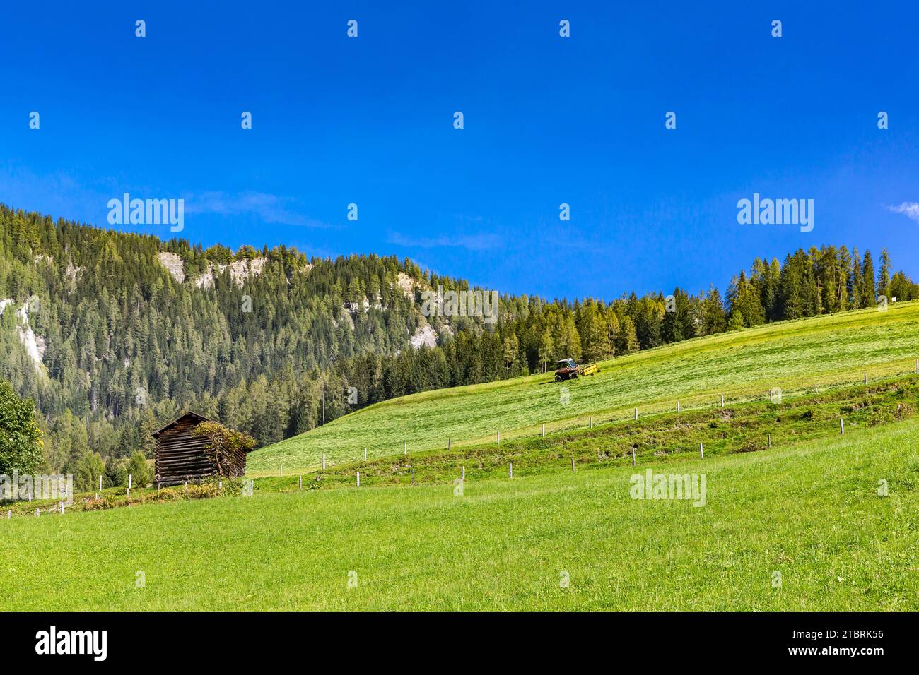 Tracteur tournant le foin, sur le pâturage alpin, Fröstlberg dans la vallée de Rauris, Rauris, Pinzgau, Salzburger Land, Autriche Banque D'Images