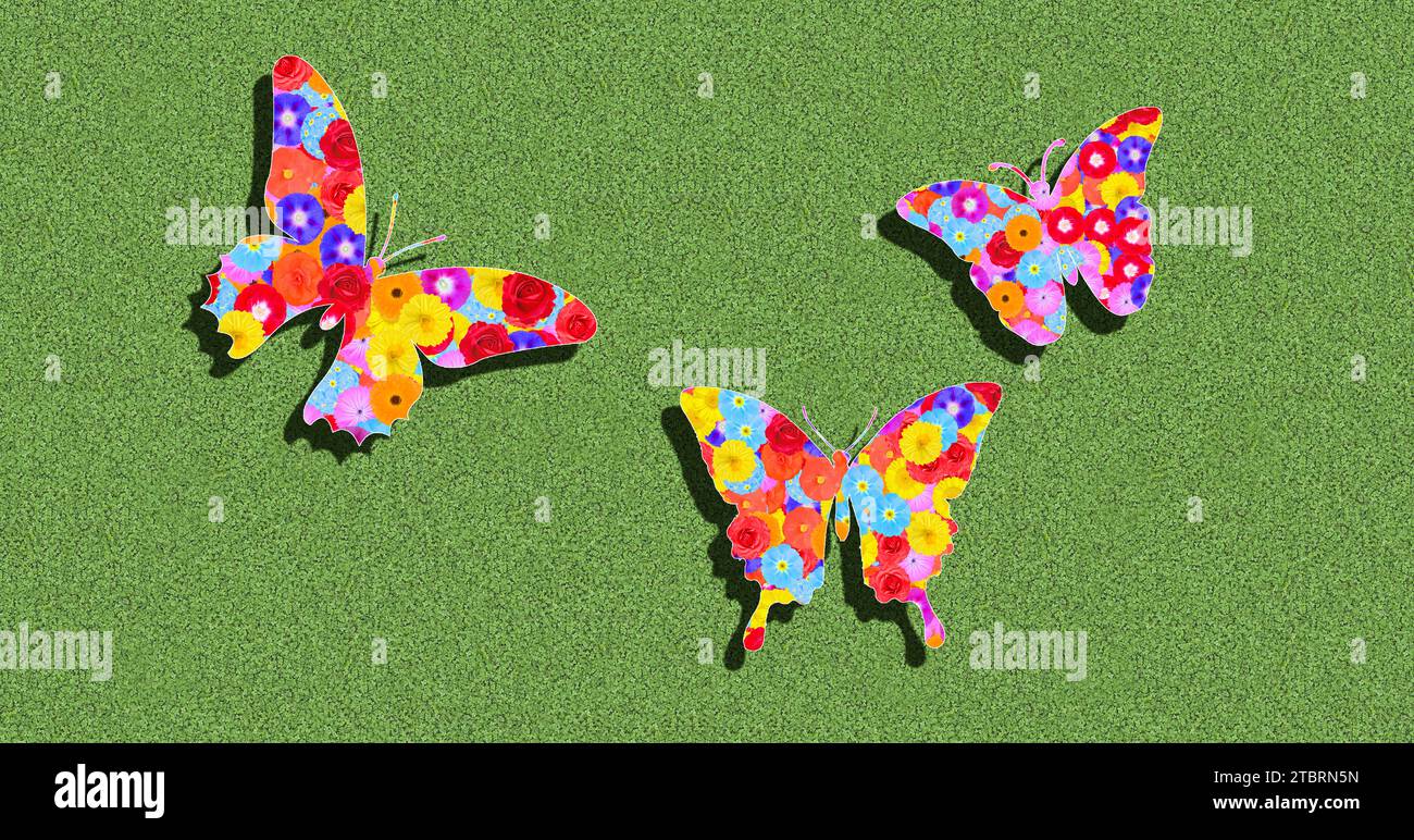 Papillons, silhouette, fleurs, illustration, graphique, coloré, coloré, différentes espèces, sur un fond vert, volant au soleil avec des ombres Banque D'Images