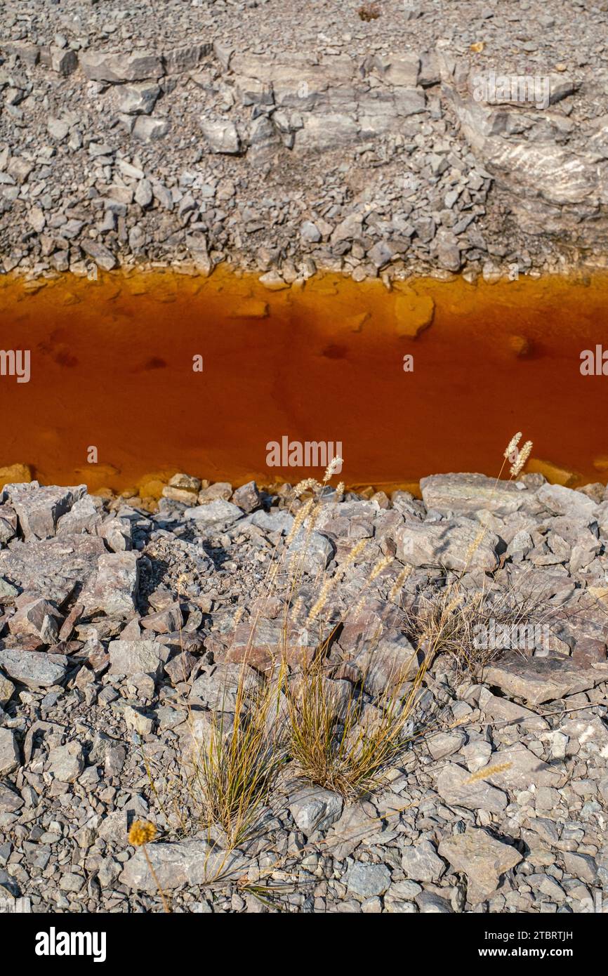 Carrière avec végétation clairsemée et eau brune, Öland, Suède Banque D'Images