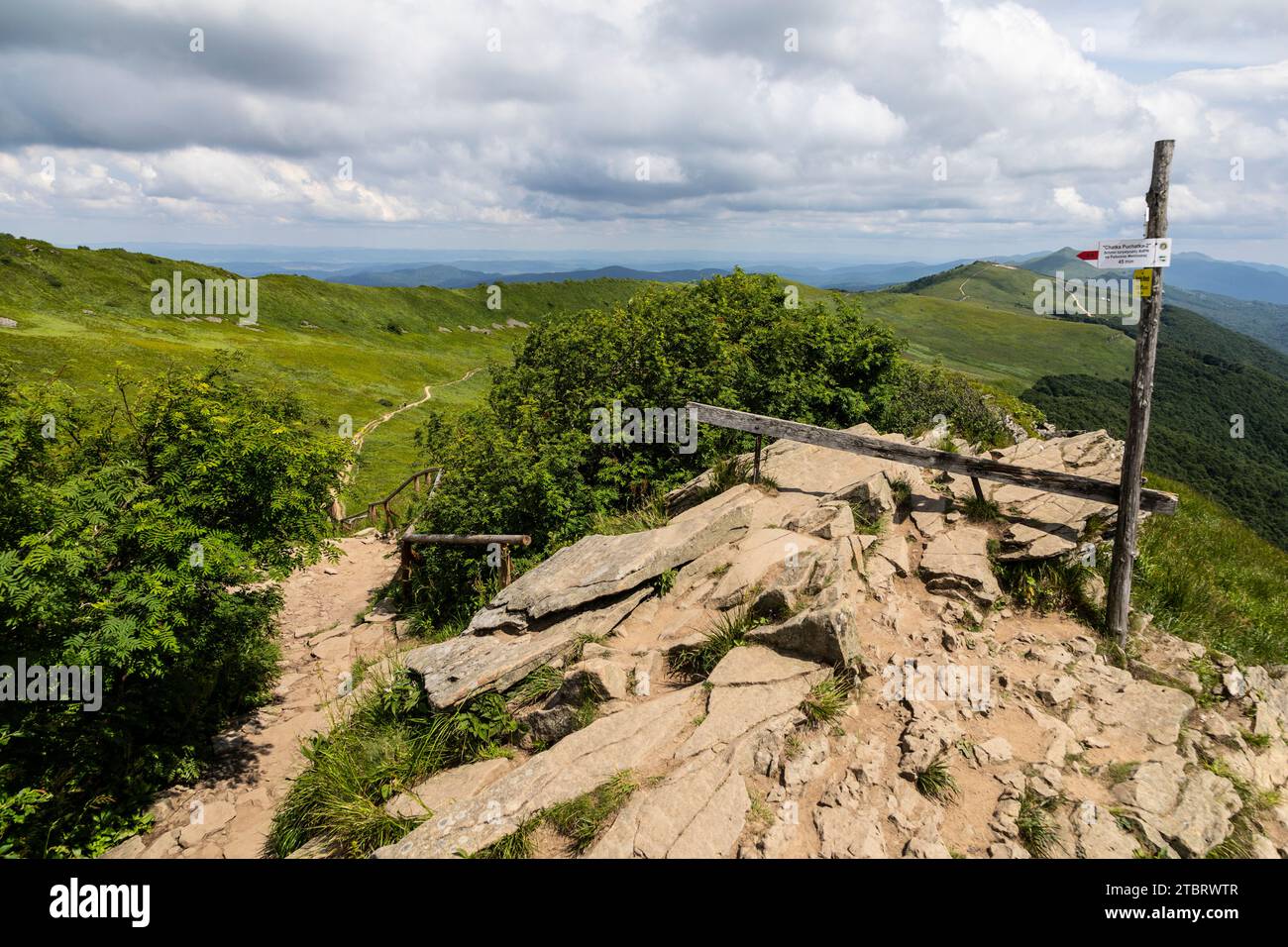 Europe, Pologne, voïvodie de Podkarpackie, Bieszczady, Osadzki Wierch in Polonina Wellinska, Parc national de Bieszczady Banque D'Images