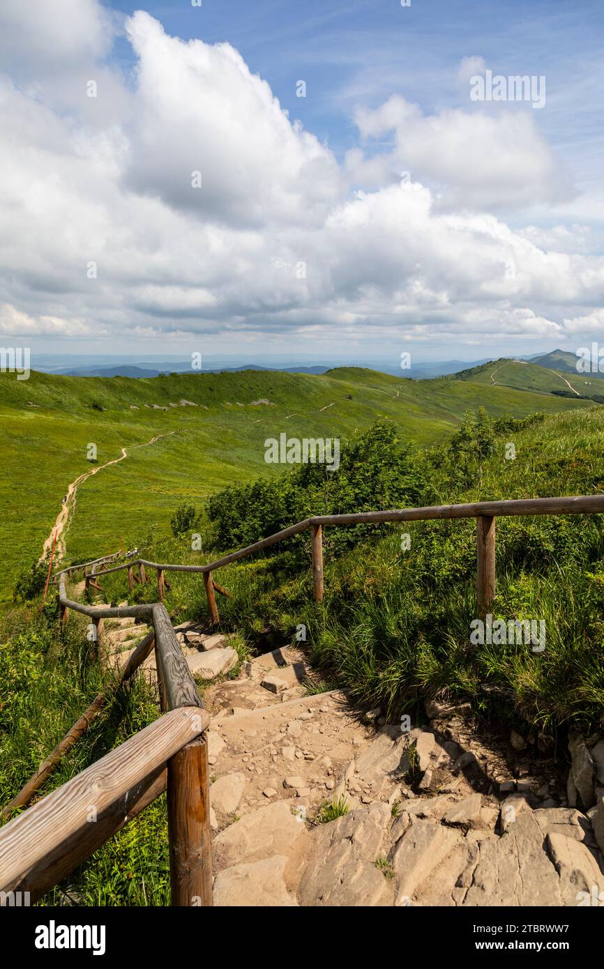 Europe, Pologne, voïvodie de Podkarpackie, Bieszczady, Osadzki Wierch in Polonina Wellinska, Parc national de Bieszczady Banque D'Images