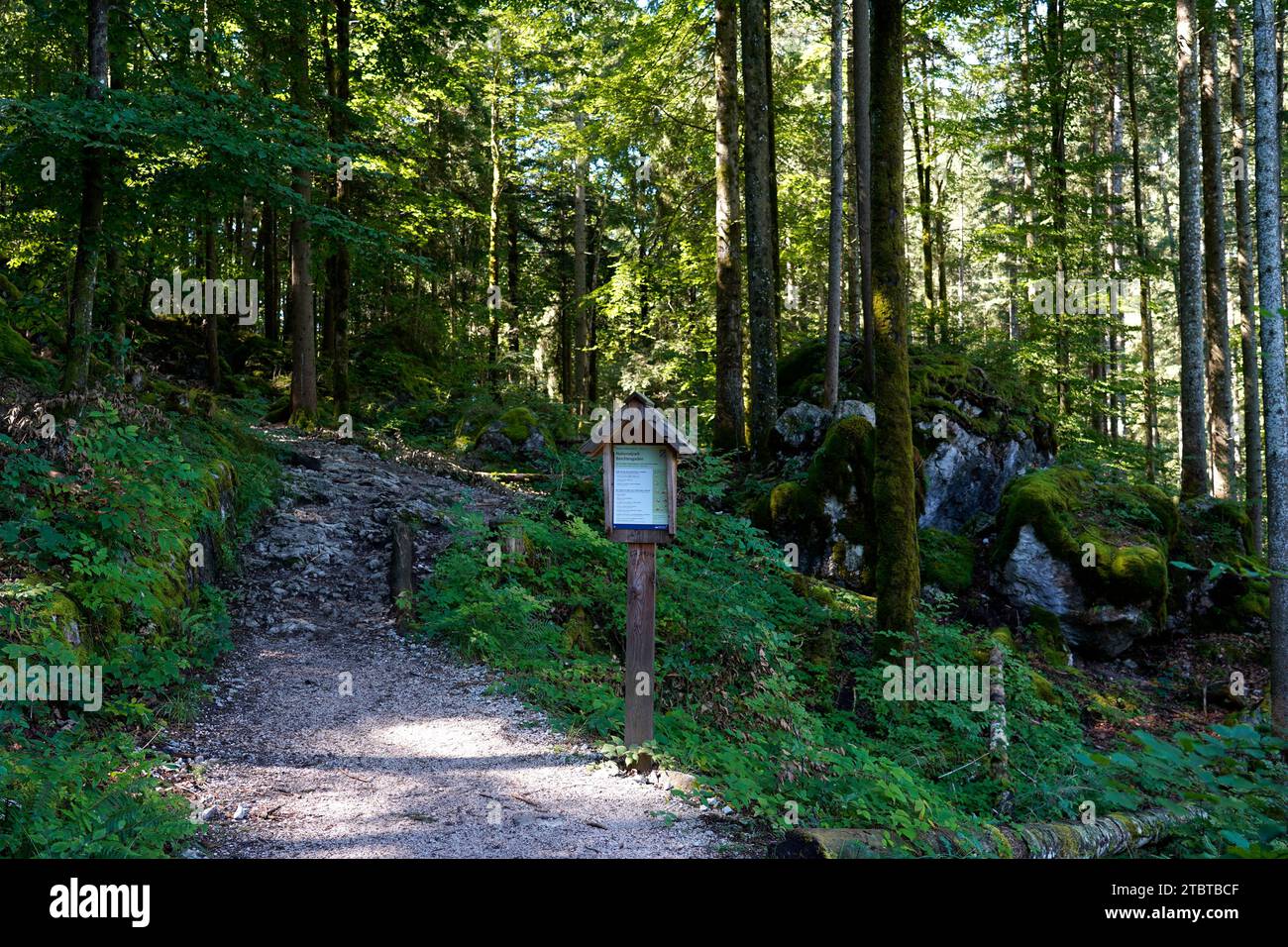 Allemagne, Bavière, haute-Bavière, Berchtesgaden, Schönau am Königssee, parc national, forêt de montagne, sentier de randonnée, panneau d'information Banque D'Images