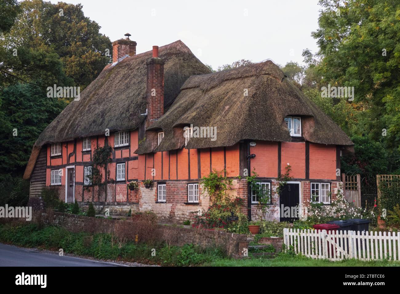 Angleterre, West Sussex, Harting, Pretty Thatched Roof Cottage et Road Banque D'Images